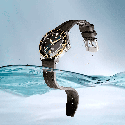 Reloj Tissot Seastar 1000 Quartz 40mm Negro T120.410.27.051.00