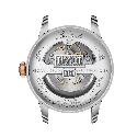 Reloj Tissot Le Locle Powematic 80 T006.407.22.036.01