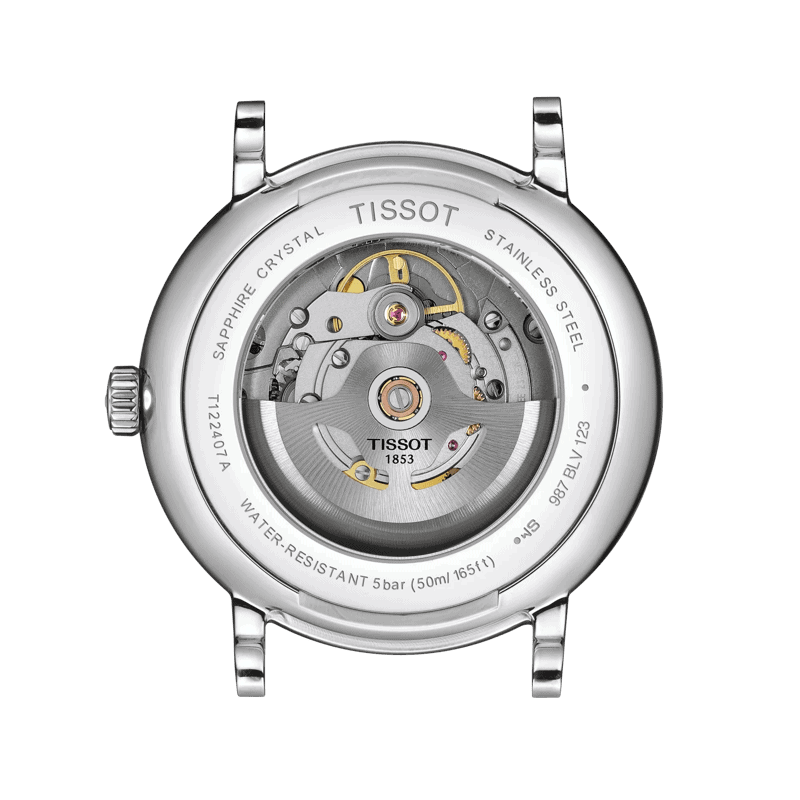 Reloj Tissot Carson Premium Powermatic 80 T122.407.16.031.00