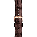 Reloj Tissot Carson Premium Powermatic 80 T122.407.36.031.00